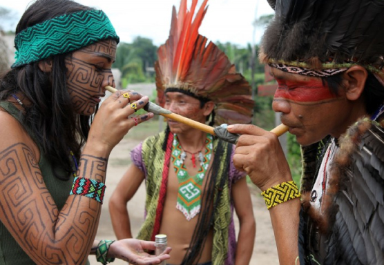 tribu indugena Katukina